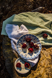 Outdoor forest still life on tree stump with ripe red cherries in blue and white bowl