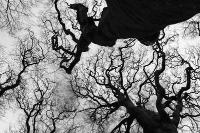 Low angle view of woman standing on tree