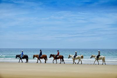 Group of people riding on beach