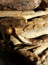 Close-up of old wood