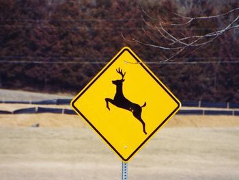 Close-up of deer crossing sign on field