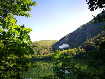 Scenic view of lake and trees against clear sky