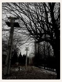 Bare trees against sky