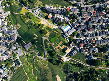 High angle view of trees and houses in field