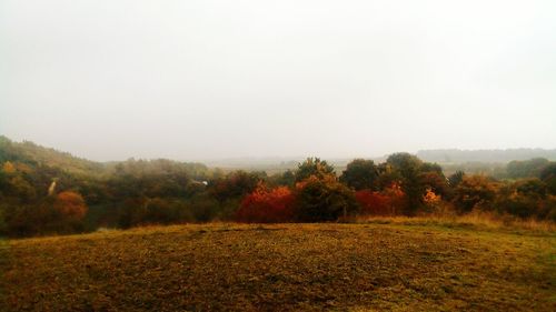 Scenic view of field against clear sky