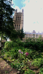 View of flowering plants in garden