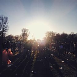 Sun shining through trees