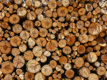 Full frame shot of logs in forest