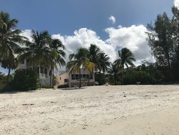 Palm trees on beach by house against sky