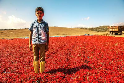 Portrait of boy standing amidst red chili peppers against sky