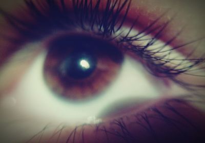 Macro shot of human eye