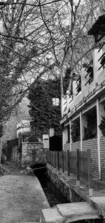 Footpath amidst trees and buildings in city