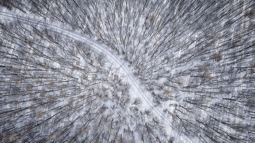 Full frame shot of feather