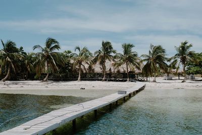 Palm trees by swimming pool against sky