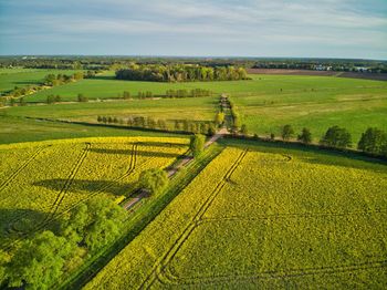 High angle view of vineyard against sky