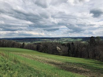 Scenic view of field against sky