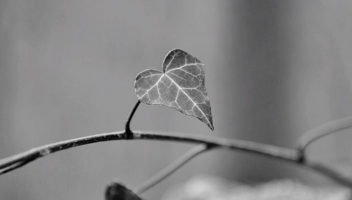 close-up, focus on foreground, low angle view, spider web, fragility, drop, nature, sky, selective focus, day, no people, water, twig, outdoors, weather, beauty in nature, stem, pattern, dry, tranquility