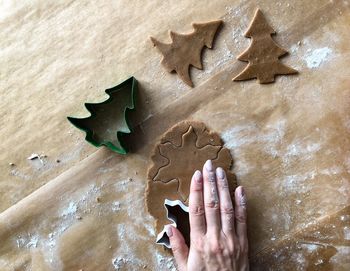 High angle view of hand holding cookies on table