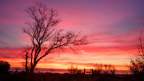 Silhouette tree against sky during sunset