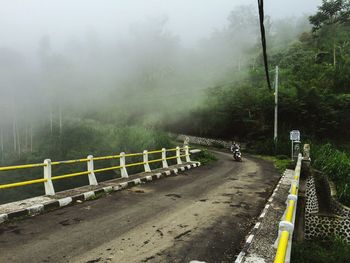 Road passing through forest