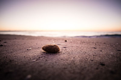 Surface level of sand on beach