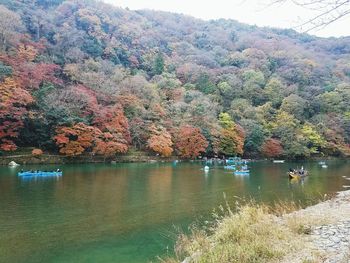 Scenic view of lake in forest during autumn