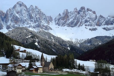 Scenic view of snowcapped mountains and trees against sky