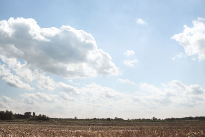 Scenic view of field against sky