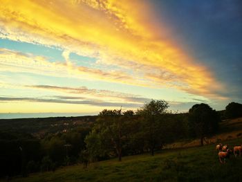 Scenic view of field against sky during sunset