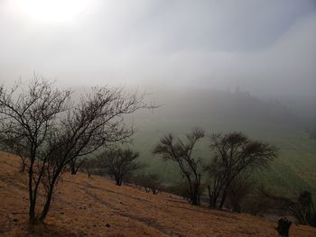 Bare trees on landscape against sky