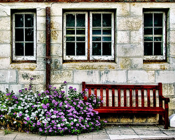 View of building with plants in foreground