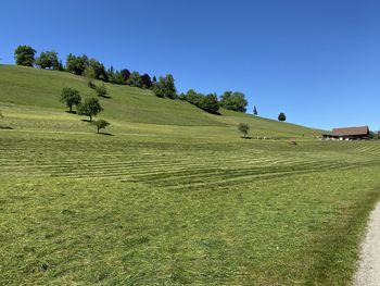 Scenic view of field against clear blue sky