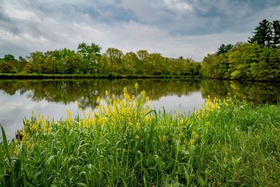 Scenic view of lake against sky