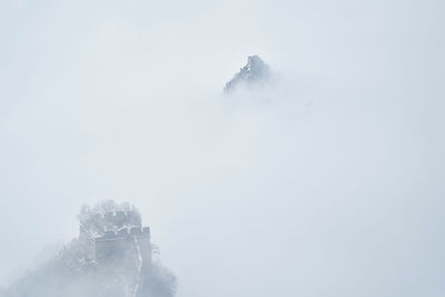 Snow covered trees against sky