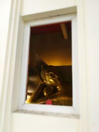 Close-up of cat on window sill