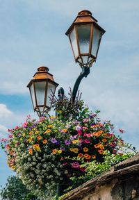 Low angle view of street light by plants against sky