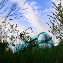 Low angle view of flowering plants on field against sky