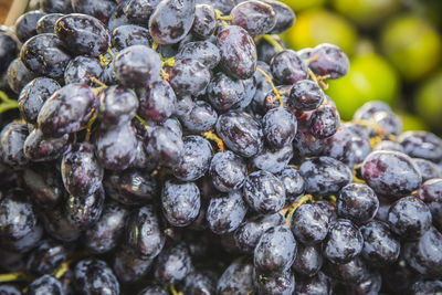 Extreme close-up of black grapes