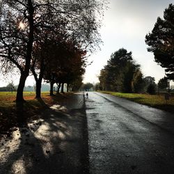 Road amidst trees against sky