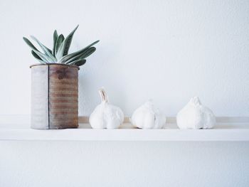 Close-up of white flowers on table