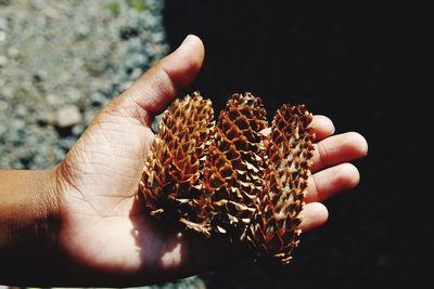 Cropped hand holding brown food