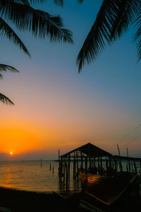 Silhouette palm trees on beach against sky during sunset