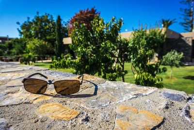 Close-up of sunglasses against trees