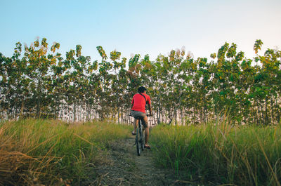 Rear view of man riding bicycle on field