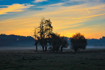 Silhouette trees on field against sky during sunset
