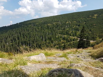 Scenic view of landscape against sky