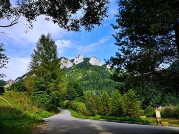 Road amidst trees against sky