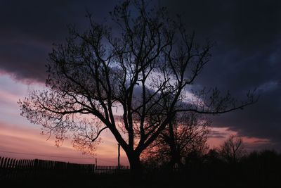 Silhouette bare tree on field against sky at sunset