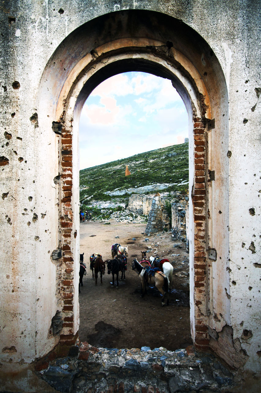 GROUP OF PEOPLE ON THE WALL OF A BUILDING