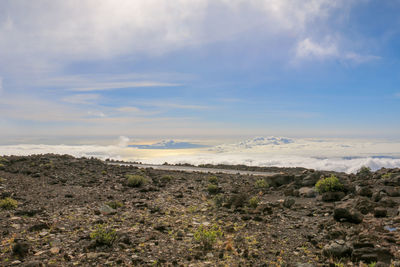 Scenic view of landscape against sky